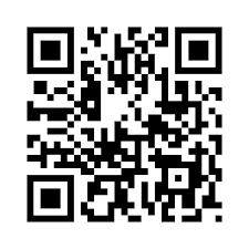 TownPerks QR code